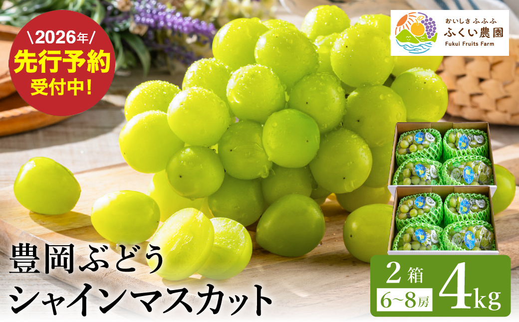 【2026年先行予約】豊岡ぶどう シャインマスカット ２箱  約4kg / 豊岡ブドウ 産地直送 糖度が高い 濃厚 甘味 上品な香り 歯切れの良い 皮ごと 食べられる 減農薬 シャイン マスカット ぶどう ブドウ 葡萄 果物 くだもの フルーツ ふくい農園