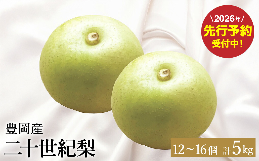 【2026年先行予約】二十世紀梨 5kg（12個～16個） / 梨 産地直送 みずみずしい シャリシャリ 食感 さっぱり バランスの良い 酸味 甘味 減農薬 なし ナシ 果物 くだもの フルーツ ふくい農園