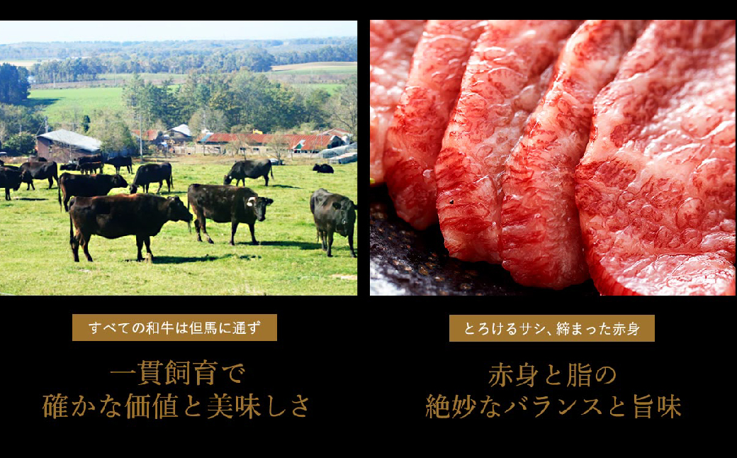 希少部位入り！極上但馬牛 焼肉セット 3種盛り【ロース モモ 希少部位1種 合計600g】牛肉 焼肉 セット 焼き肉 お取り寄せ お肉 精肉 グルメ 牛 肉 但馬牛 黒毛和牛 霜降り やきにく【但馬ビーフはまだ】