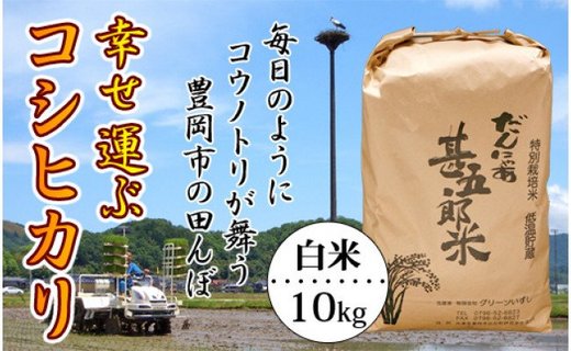お米 10kg(白米)幸せ運ぶ コシヒカリ