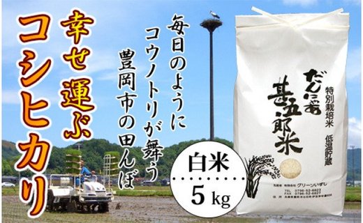 お米 5kg（白米）幸せ運ぶ コシヒカリ 兵庫県豊岡市産