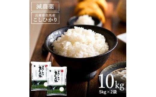 令和5年産　コウノトリ育むお米減農薬【5kg×2袋】（94-004）