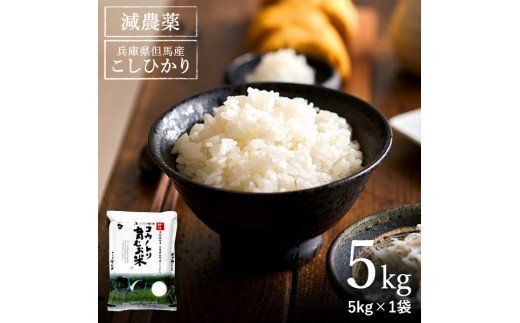 令和5年産　コウノトリ育むお米減農薬 【5kg×１袋】（94-004）