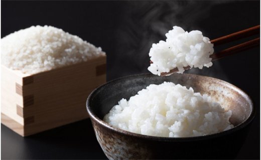 特別栽培米こしひかり　六方銀米　白米5kg