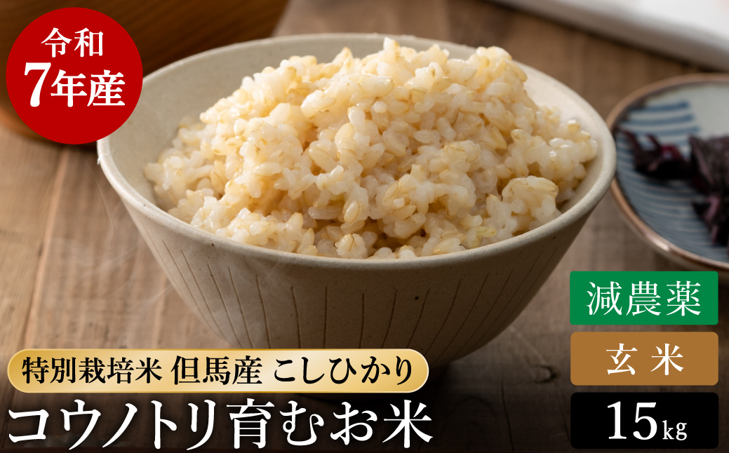 令和7年産 減農薬 玄米 特別栽培米 15kg コウノトリ育むお米 但馬産 こしひかり 兵庫県産(5kg×3袋) 減農薬 お米 15キロ 玄米 コウノトリ米 コシヒカリ コメ こめ ご飯 ライス 減農薬米
