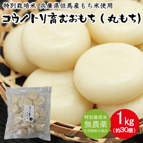 コウノトリ育むおもち 1kg（約30個入り）