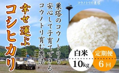 【新米予約】令和6年産 幸せ運ぶ コシヒカリ 10kg（白米）×6回 兵庫県豊岡市産【定期便（毎月）】