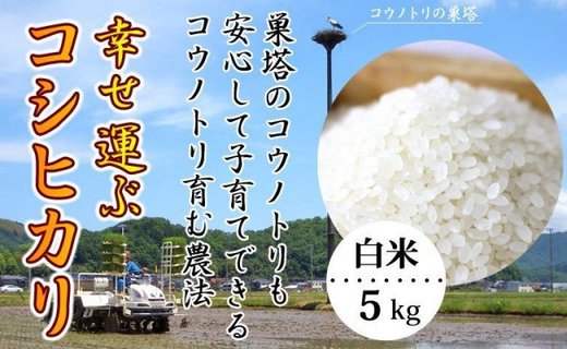 【新米予約】令和6年産 お米 5kg（白米）幸せ運ぶ コシヒカリ 兵庫県豊岡市産