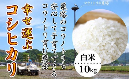 【新米予約】令和6年産 お米 10kg（白米）幸せ運ぶ コシヒカリ 兵庫県豊岡市産