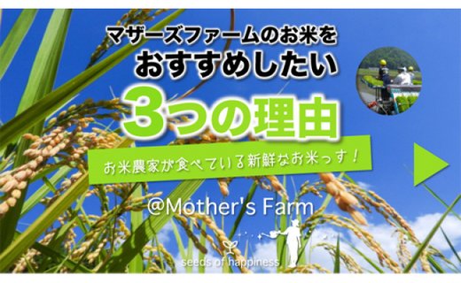 お米 5kg（白米）今ずり・無洗米 コシヒカリ 兵庫県但馬産