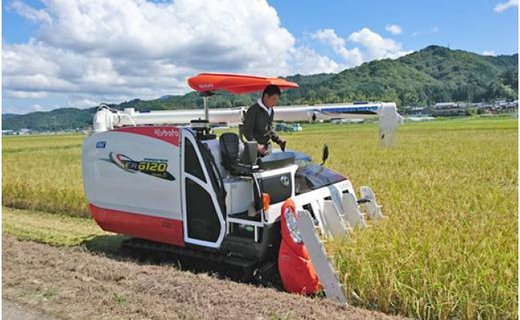 【新米予約】令和6年産 幸せ運ぶ コシヒカリ 2kg（白米）×6回 兵庫県豊岡市産【定期便（毎月）】