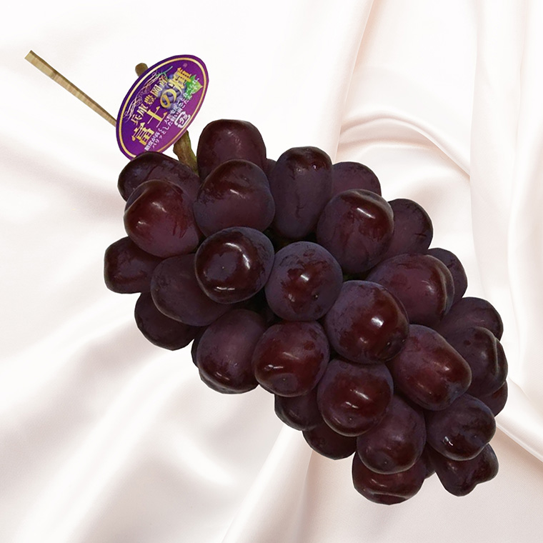 豊岡ぶどう 富士の輝き 600g / 豊岡ブドウ 産地直送 濃厚 甘味 コク 皮ごと 食べられる 減農薬 ぶどう ブドウ 葡萄 果物 くだもの フルーツ ふくい農園