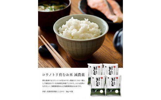 【令和6年産】新米 減農薬 米 特別栽培米 20kg コウノトリ育むお米 但馬産 こしひかり 兵庫県産(5kg×4袋)（94-004）減農薬 お米 20キロ 精米 白米 コウノトリ米 コシヒカリ 新米 コメ こめ ご飯 ライス 減農薬米