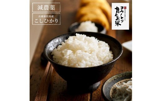 【令和6年産】新米 減農薬 米 特別栽培米 20kg コウノトリ育むお米 但馬産 こしひかり 兵庫県産(5kg×4袋)（94-004）減農薬 お米 20キロ 精米 白米 コウノトリ米 コシヒカリ 新米 コメ こめ ご飯 ライス 減農薬米