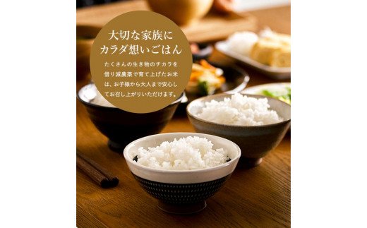 【令和6年産】新米 減農薬 米 特別栽培米 20kg コウノトリ育むお米 但馬産 こしひかり 兵庫県産(5kg×4袋)（94-004）減農薬 お米 20キロ 精米 白米 コウノトリ米 コシヒカリ 新米 コメ こめ ご飯 ライス 減農薬米