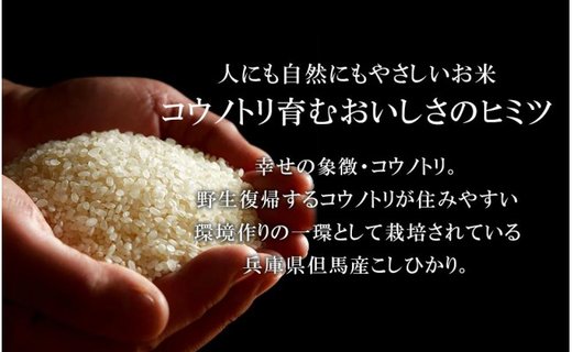 【令和6年産】新米 無農薬 米 15kg コウノトリ育むお米 新米 但馬産 こしひかり 兵庫県産(5kg×3袋)（94-002）無農薬 お米 15キロ 精米 白米 コウノトリ米 コシヒカリ 農薬不使用 特別栽培米 新米 予約 コメ こめ ご飯 ライス 無農薬米