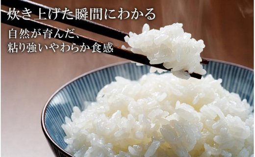 【令和6年産】新米 無農薬 米 15kg コウノトリ育むお米 新米 但馬産 こしひかり 兵庫県産(5kg×3袋)（94-002）無農薬 お米 15キロ 精米 白米 コウノトリ米 コシヒカリ 農薬不使用 特別栽培米 新米 予約 コメ こめ ご飯 ライス 無農薬米