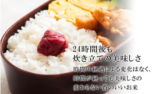 【令和6年産】新米 無農薬 米 15kg コウノトリ育むお米 新米 但馬産 こしひかり 兵庫県産(5kg×3袋)（94-002）無農薬 お米 15キロ 精米 白米 コウノトリ米 コシヒカリ 農薬不使用 特別栽培米 新米 予約 コメ こめ ご飯 ライス 無農薬米