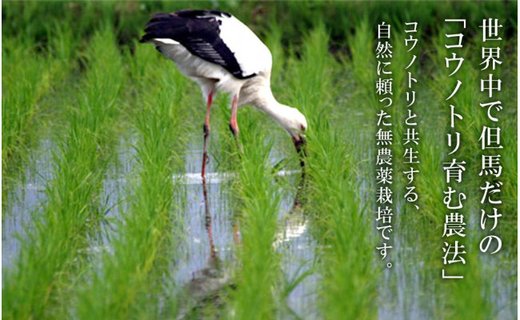 【令和6年産】新米 無農薬 米 15kg コウノトリ育むお米 新米 但馬産 こしひかり 兵庫県産(5kg×3袋)（94-002）無農薬 お米 15キロ 精米 白米 コウノトリ米 コシヒカリ 農薬不使用 特別栽培米 新米 予約 コメ こめ ご飯 ライス 無農薬米