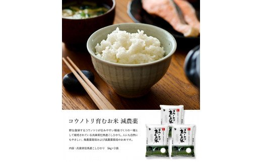 【令和6年産】新米 減農薬 米 特別栽培米 10kg コウノトリ育むお米 但馬産 こしひかり 兵庫県産(5kg×2袋)（94-004）減農薬 お米 10キロ 精米 白米 コウノトリ米 コシヒカリ 新米 コメ こめ ご飯 ライス 減農薬米