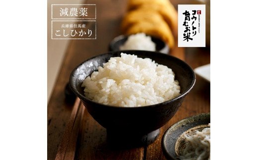 【令和6年産】新米 減農薬 米 特別栽培米 10kg コウノトリ育むお米 但馬産 こしひかり 兵庫県産(5kg×2袋)（94-004）減農薬 お米 10キロ 精米 白米 コウノトリ米 コシヒカリ 新米 コメ こめ ご飯 ライス 減農薬米