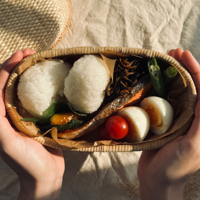 【ふるさと納税】伝統の飯行李（大） / 伝統工芸品 柳行李 豊岡杞柳細工 弁当箱 お弁当 行楽 