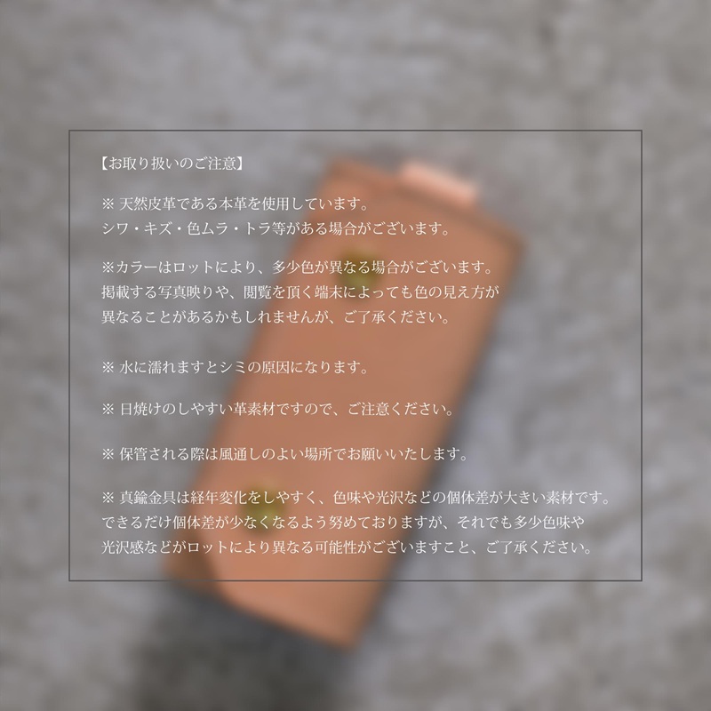 ããŒã±ãŒã¹ ããã¥ã©ã«ãªã€ã«ãã¡ã æ¥æ¬è£œ ãã¡é© æ¬é© çé© é© å°ç© é貚 é©è£œå ã¬ã¶ãŒ ããžãã¹ ããŒã±ãŒã¹ ãã2501N08002ã