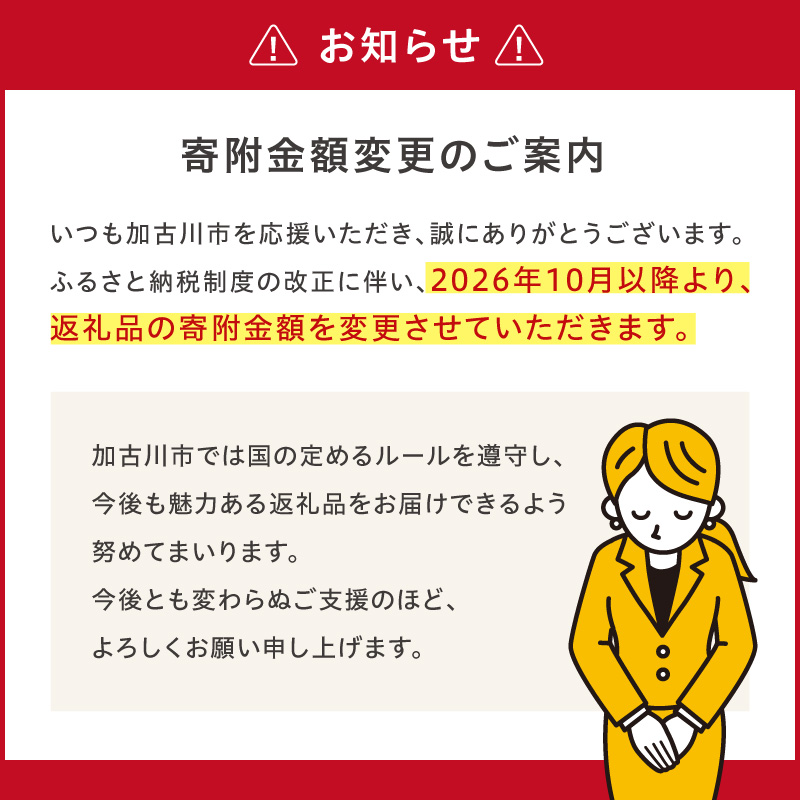 〈2026年10月以降から寄附金額改定〉衣類乾燥除湿機 air dryer DDS03《 衣類乾燥機 除湿機 家電 衣類 消臭 防カビ 除菌 軽量・コンパクト 部屋干し 室内干し ふるさと納税 送料無料 梅雨対策 》【2407N09604】