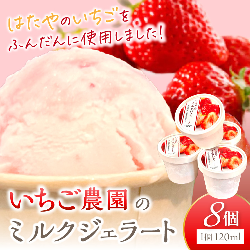 いちごミルクジェラート《 ジェラート アイス カップ いちご ミルク スイーツ 》【2501H09703】