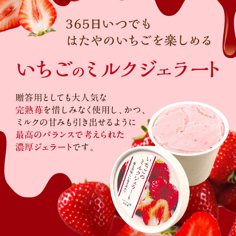 いちごミルクジェラート《 ジェラート アイス カップ いちご ミルク スイーツ 》【2501H09703】