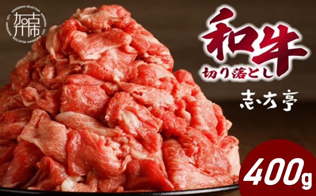 「和牛」切り落とし(400g×1パック)《 和牛 切り落とし 牛肉 小分け 肉 》【2600A00409】