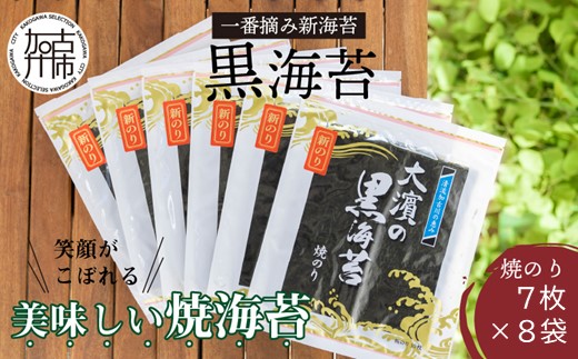 兵庫加古川産 一番摘み【新海苔】焼のり[2026年1月より順次発送]《 新海苔 焼のり のり 海苔 一番摘み 期間限定 》【2503D01304】