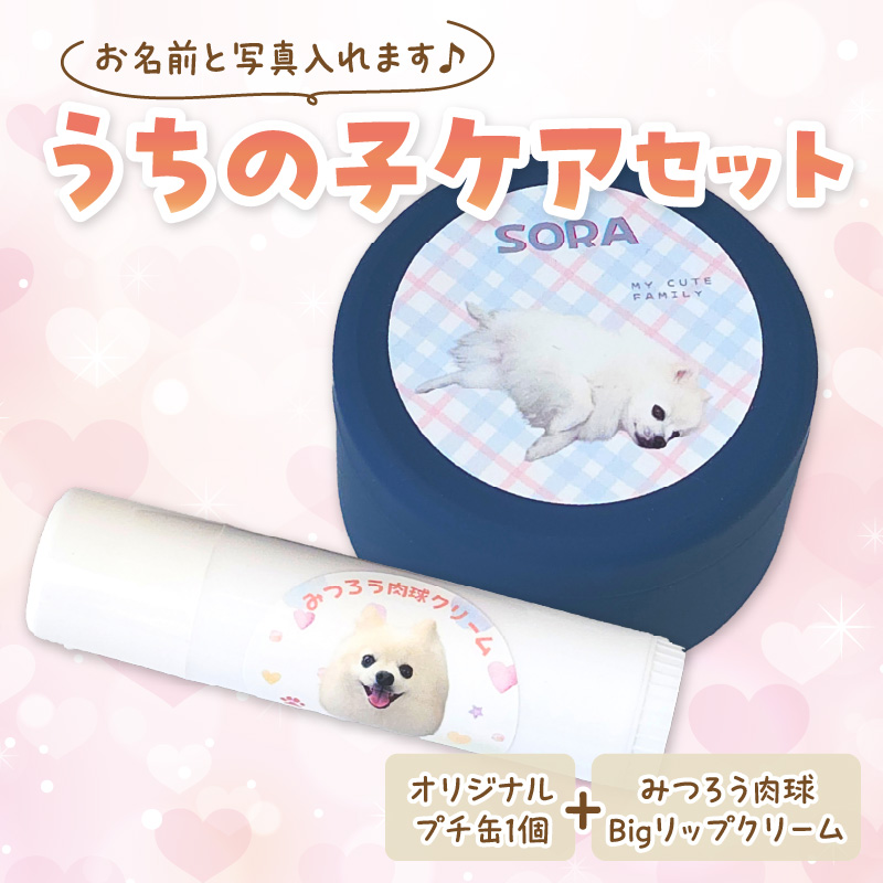 うちの子ケアセット オリジナルプチ缶1個+うちの子専用肉球Bigリップクリームセット 《 犬 ケア みつろう リップクリーム 缶 セット 詰め合わせ オリジナル ホホバオイル 》【2400N13305】