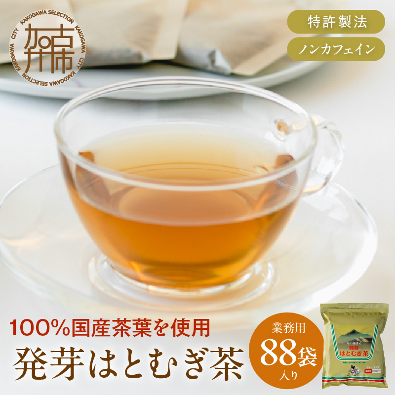 発芽はとむぎ茶 業務用《 ハトムギ茶 国産 はと麦茶 お茶 国産茶葉 ノンカフェイン 》【2400G15101】