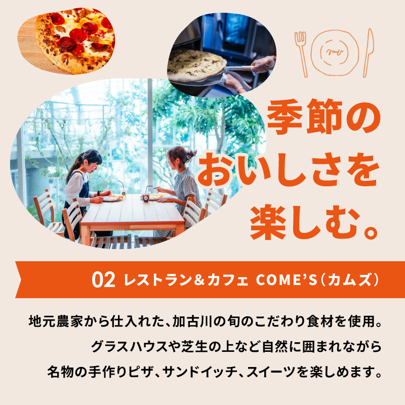 遊んで、食べて、泊まれる！「みとろの丘」ふるさと納税限定利用券(3000円×15枚)《 体験 自然 宿泊券 チケット クーポン 》【2418L14803】