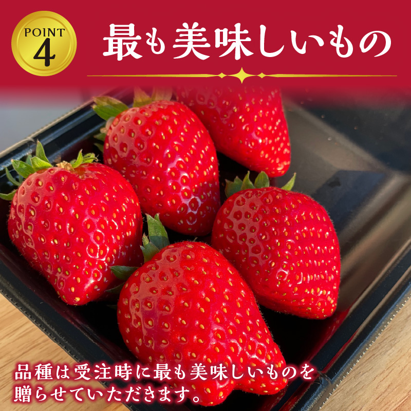 ★先行予約★結いちご(2パック入)[12月下旬より順次発送] 《 いちご 大粒 苺 フルーツ 果物 フルーツ工房はたや ふるさと納税いちご イチゴ 高級 国産 送料無料 》【2402C09706】