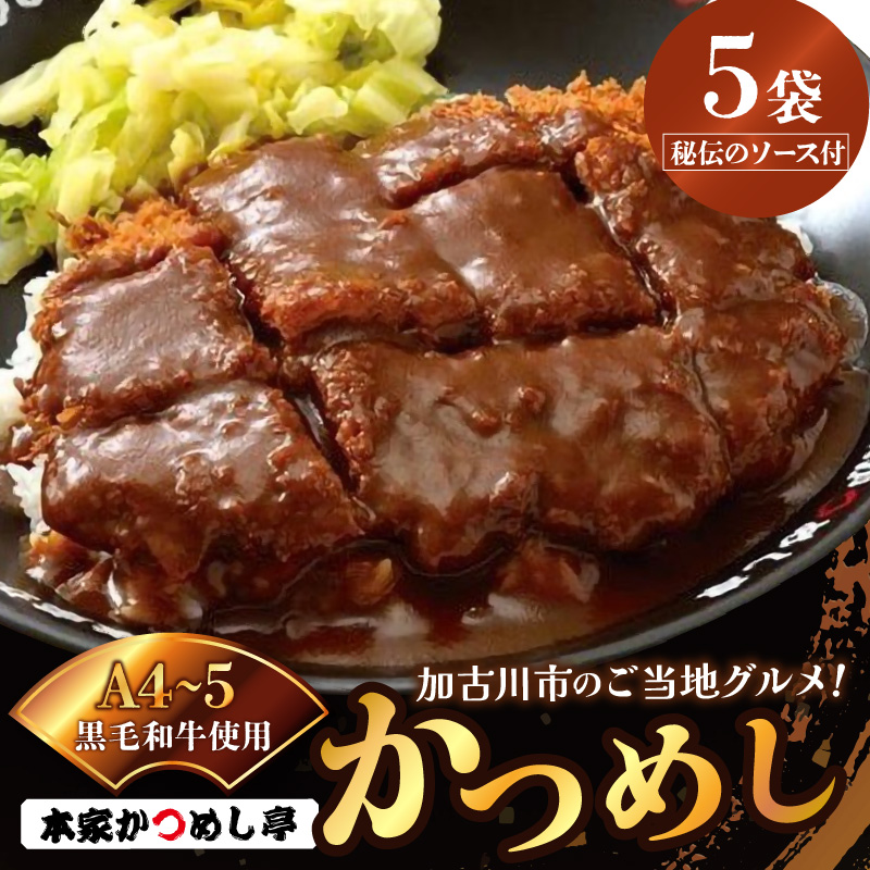 本家かつめし亭のかつめし(5食入り)《 かつめし 本家かつめし亭 デミグラスソース おいしい 洋食 おすすめ 》【2402I05601】