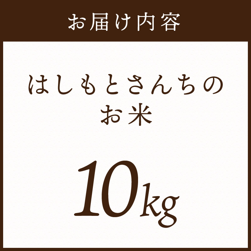 【令和7年産 2025年11月より順次発送】はしもとさんちのお米(10kg)《 お米 米 ヒノヒカリ 精米 お米10kg お米10キロ ごはん ご飯 》【2503B14302】
