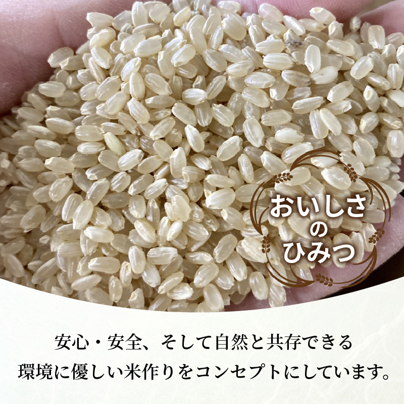 お米 【神喜舞】 玄米5kg [令和6年産]《 お米 農薬不使用 玄米 5キロ 安心 安全 米 おこめ 国産 送料無料 ヒノヒカリ 》【2401B08411】