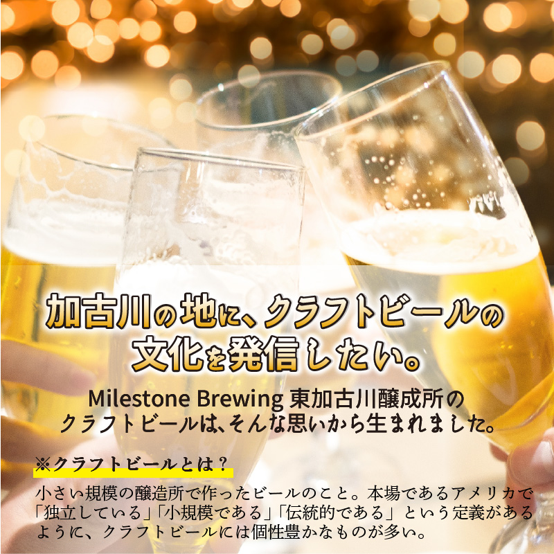 オリジナルクラフトビールサプライズ6本セット【2401F08501】
