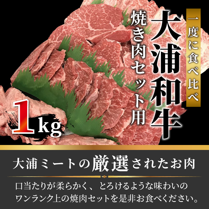 大浦和牛焼肉セット（1kg）【2405A00206】