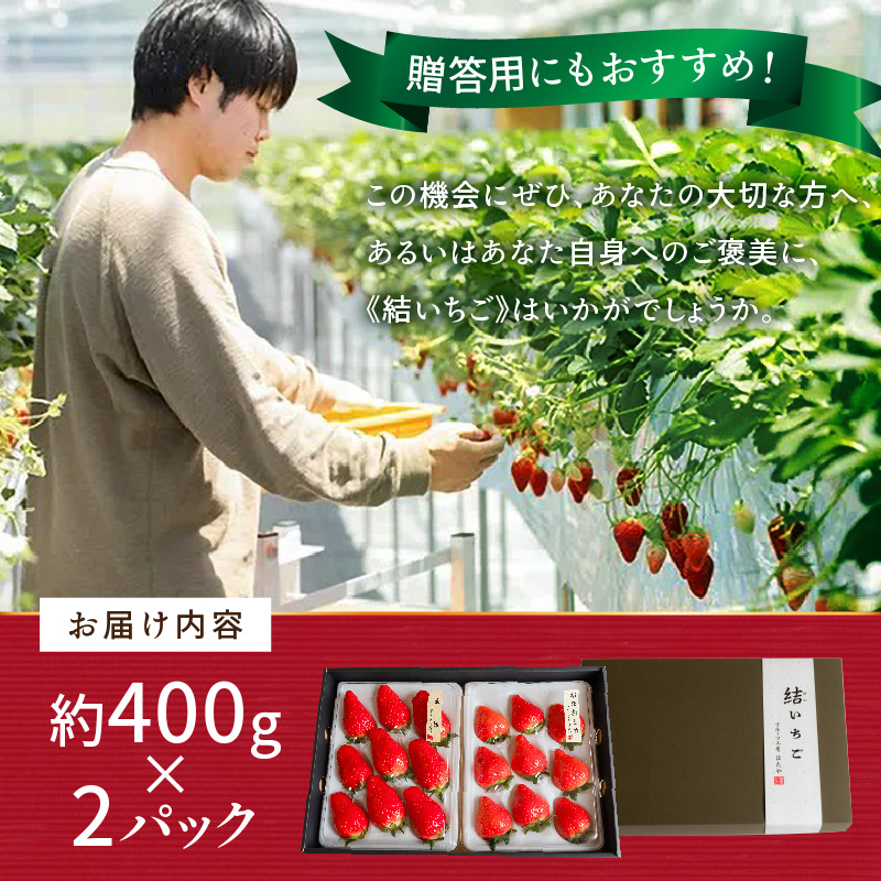 結いちご(2パック入)[12月下旬より順次発送] 《 いちご 大粒 苺 フルーツ 果物 フルーツ工房はたや ふるさと納税いちご イチゴ 高級 国産 送料無料 》【2402C09706】