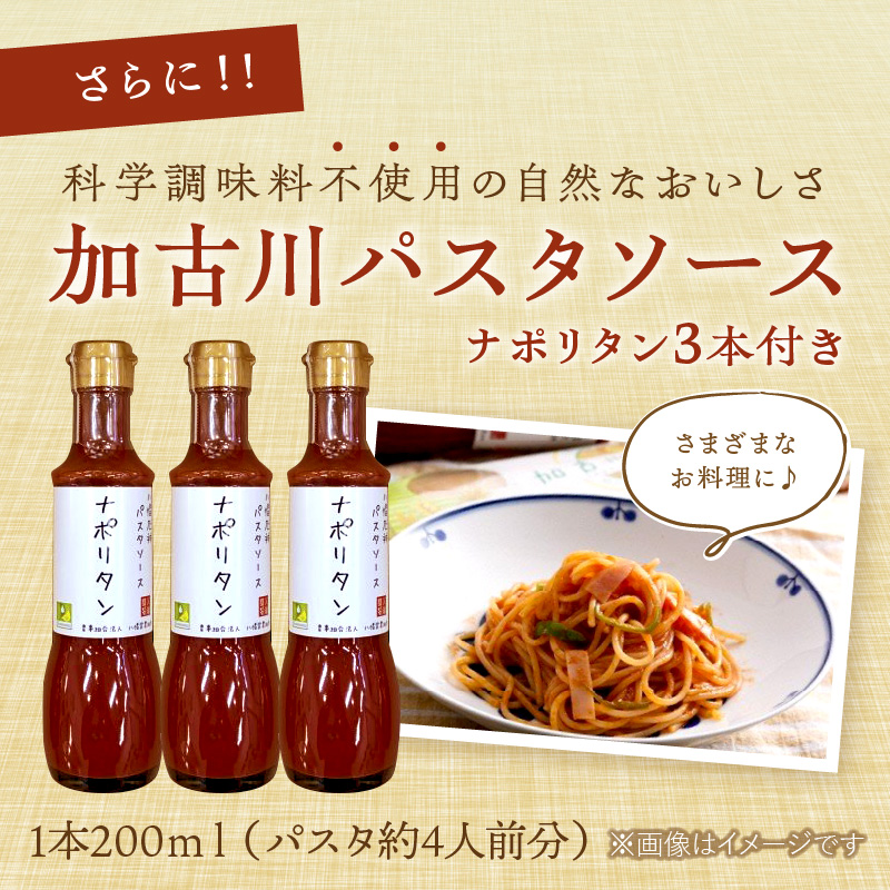 加古川パスタギフトセット《 パスタ 乾麺 国産小麦 国産 ギフトセット 詰め合わせ プレゼント 贈り物 スパゲッティ パスタソース ナポリタン ピザソース アレンジ 保存食 麺 加古川市 送料無料 ギフト 贈答用 八幡営農 オーマイ お歳暮 御歳暮 》【2401H04606】