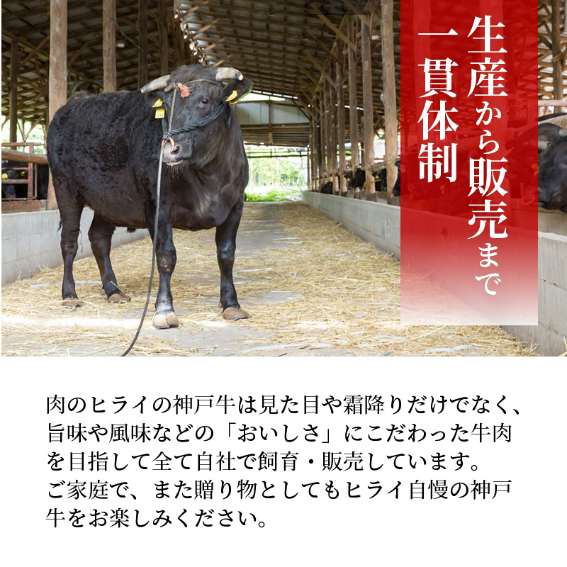 神戸牛赤身すき焼き・しゃぶしゃぶ(500g)《 神戸牛 自社牧場直送 肉のヒライ すき焼き しゃぶしゃぶ 国産 送料無料 お取り寄せ 肉 牛肉 美味しい おすすめ 》【2402A00108】