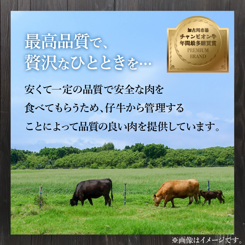 志方亭のお肉食べ比べ定期便【全3回】《 和牛 切り落とし 牛タン タン ハラミ 焼肉 肉 牛肉 定期便 おすすめ 》【2404A00423】