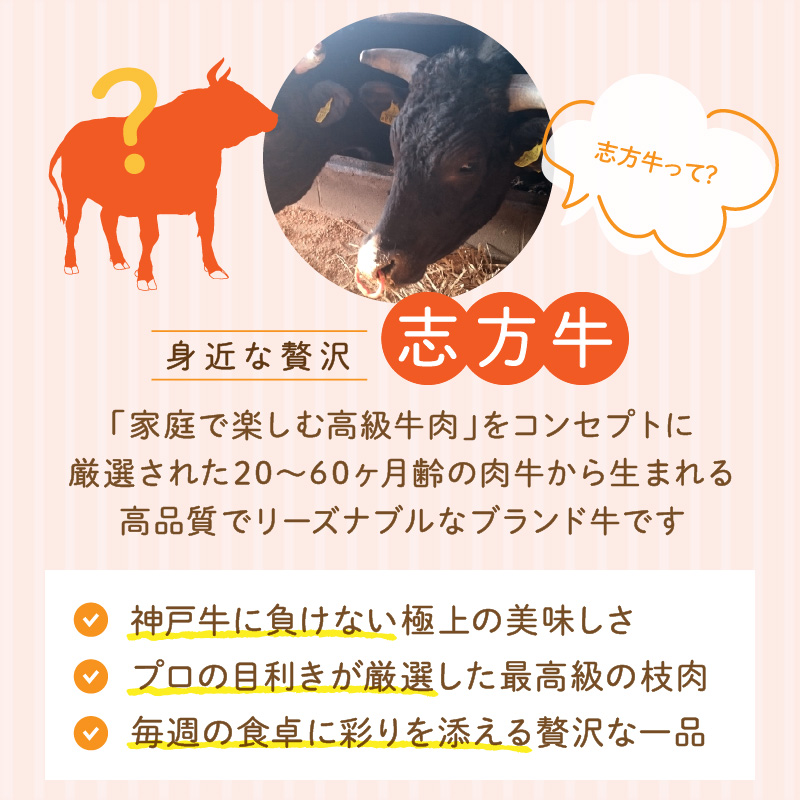 「肉のまち加古川」精肉店大浦ミートの本気の加工品！《 ハンバーグ カレー 定期便 惣菜 簡単調理 手軽 おかず 》【2501I00201】