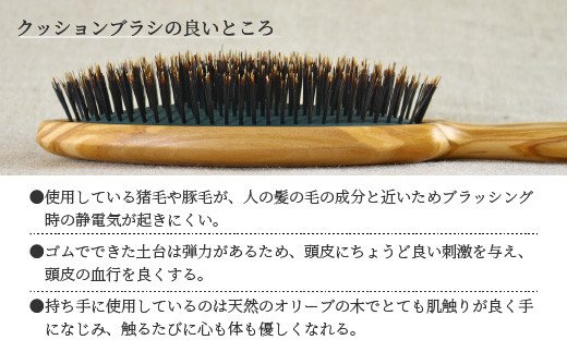 オリーブウッドのクッションブラシ【背面名入れ】《 日本製 木製 ヘアーケア くし レディース 自然素材 髪の毛に優しい 》【2402N07607】