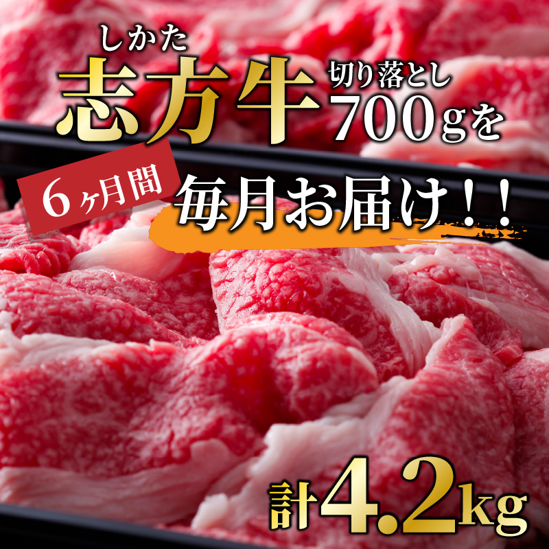 志方牛切り落とし定期便(700g×6ヶ月)《 定期便 肉 国産 牛肉 牛 国産牛 切り落とし 小間切れ お手軽 おいしい お取り寄せ 志方牛 送料無料 》【2406A00307】