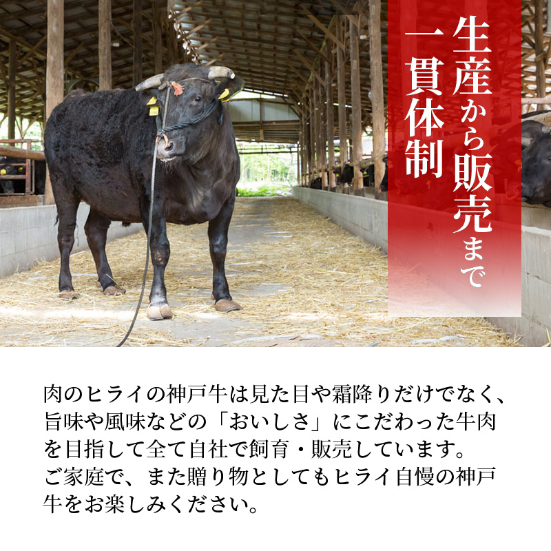 神戸牛赤身焼肉(500g)〈 肉 牛肉赤身 神戸牛 焼肉 国産 バーベキュー 和牛美味しい プレゼント ギフト 赤身肉 お取り寄せ 送料無料 おすすめ 〉【2402A00109】