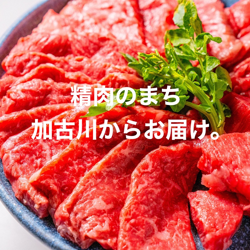 OMAKASE BOX 肉のまち加古川 プリンセス和牛定期便(全4回)《 肉 定期便 牛肉 ステーキ しゃぶしゃぶ すき焼き用 焼肉 おすすめ 贈答 プレゼント 》【2407A11504】